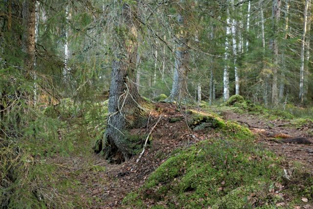 Heisanharju kirándulás, pihenés Finnországban