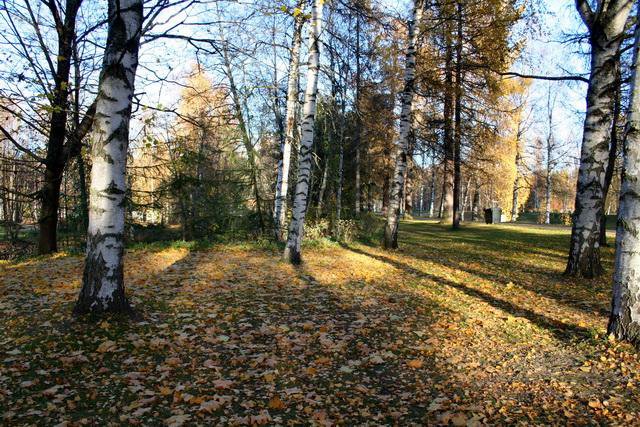 Park Vääksyben