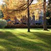 Emlékmű a park mélyén